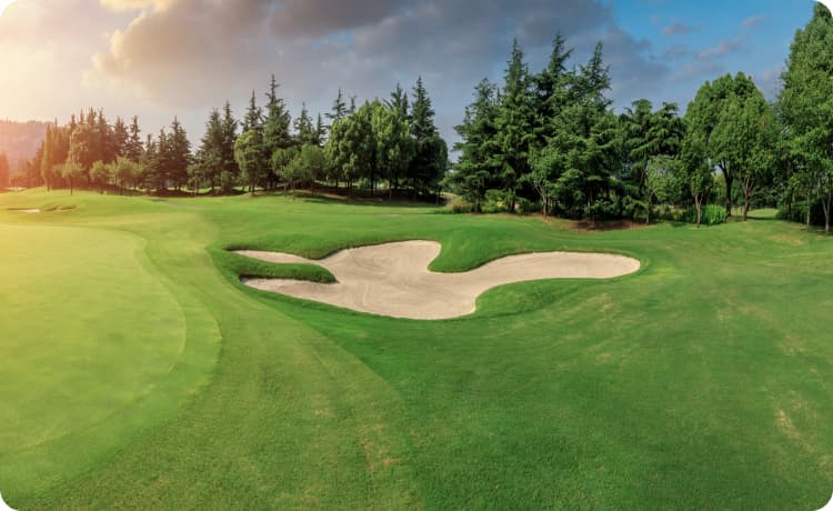 Country Clubs, Golf Clubs and Tennis Clubs