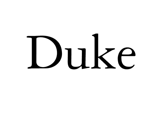 partner